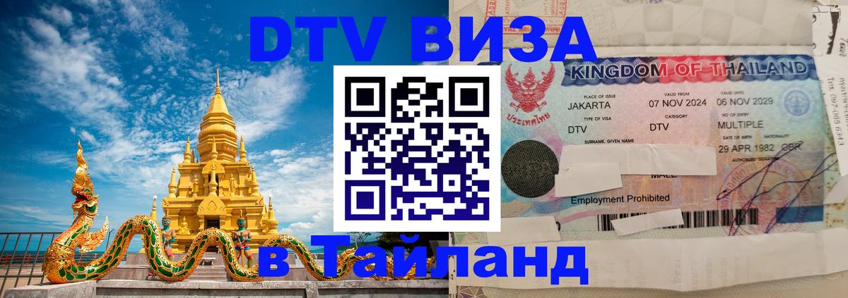 Сколько стоит DTV виза — актуальные цены, оформление даже без документов - 19.11.2025 